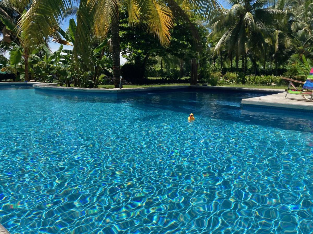 Sand Dollar Beach Bed & Breakfast Bocas Town Dış mekan fotoğraf