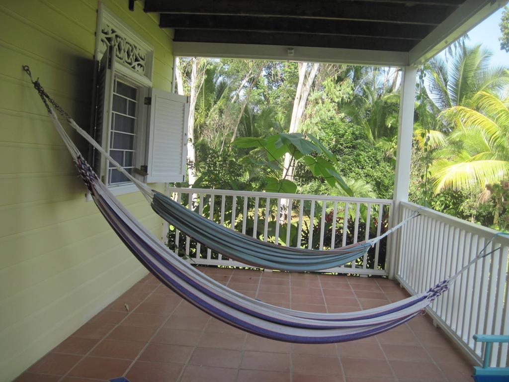 Sand Dollar Beach Bed & Breakfast Bocas Town Oda fotoğraf