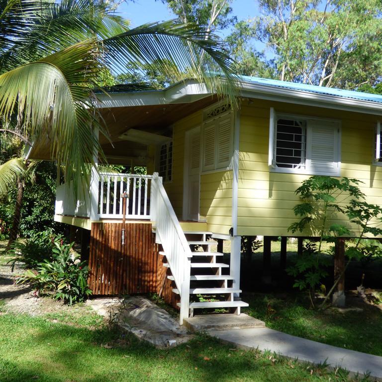 Sand Dollar Beach Bed & Breakfast Bocas Town Oda fotoğraf
