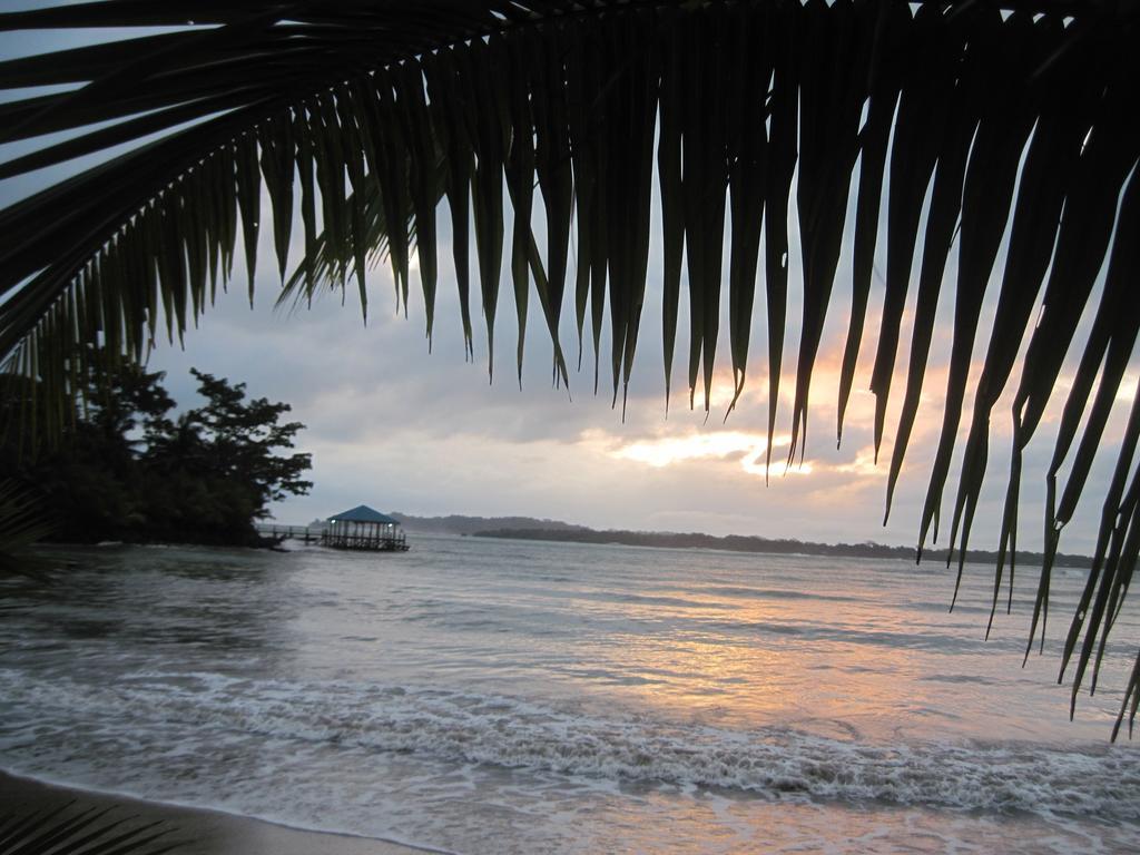 Sand Dollar Beach Bed & Breakfast Bocas Town Dış mekan fotoğraf