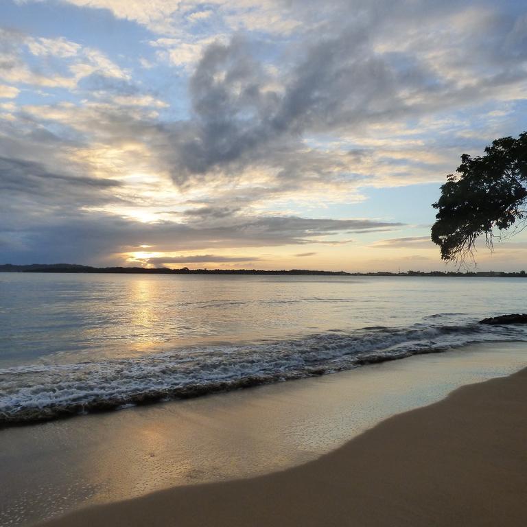 Sand Dollar Beach Bed & Breakfast Bocas Town Dış mekan fotoğraf