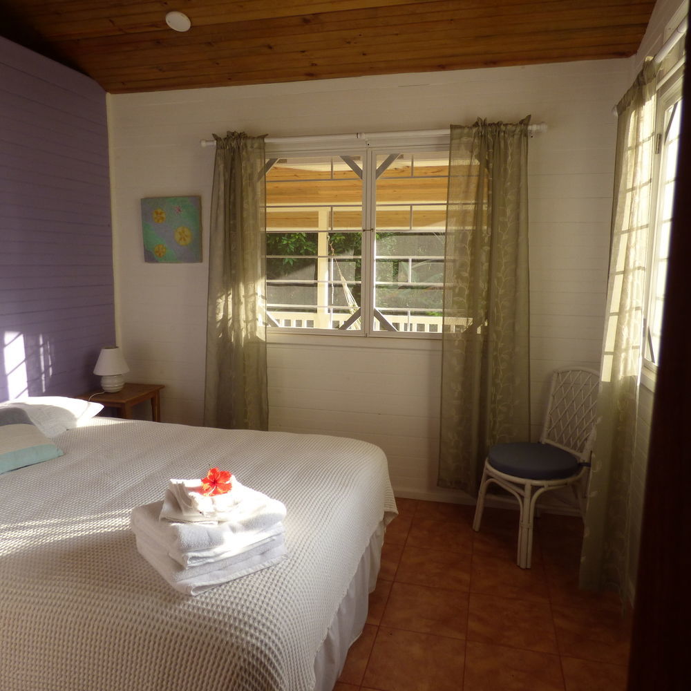 Sand Dollar Beach Bed & Breakfast Bocas Town Dış mekan fotoğraf
