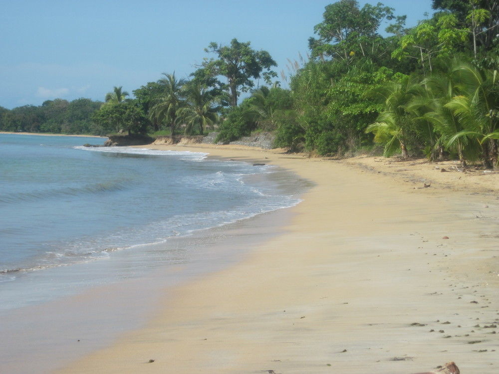 Sand Dollar Beach Bed & Breakfast Bocas Town Dış mekan fotoğraf