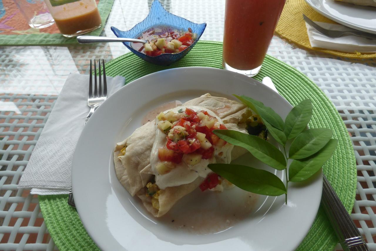 Sand Dollar Beach Bed & Breakfast Bocas Town Dış mekan fotoğraf